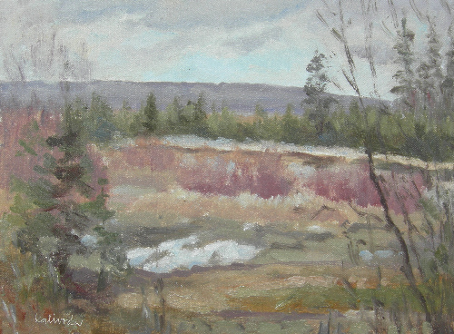 March in Griffiths Woods  9x12 